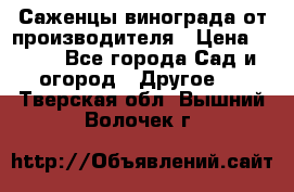 Саженцы винограда от производителя › Цена ­ 800 - Все города Сад и огород » Другое   . Тверская обл.,Вышний Волочек г.